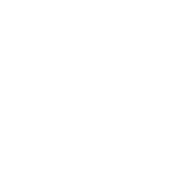 expertise 1